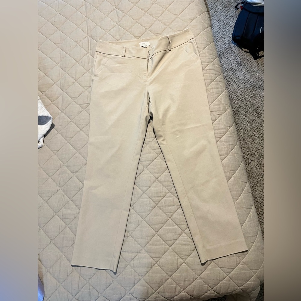 Loft Dress pants (full length) -Size 12